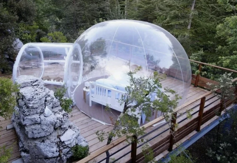 bubble tree bubble tent